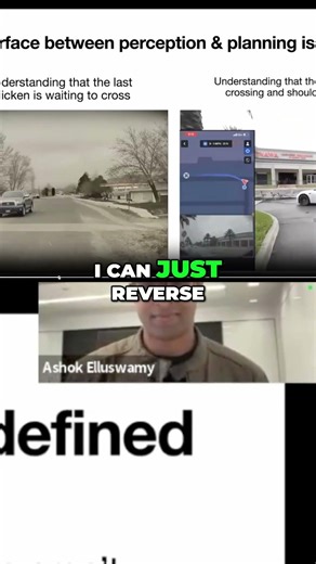 Tesla's AI: Amazing Animal Avoidance