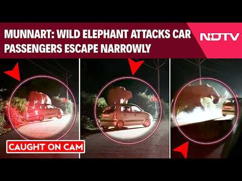 On Camera: Wild Elephant Attacks Car In Munnar, Passengers Escape Narrowly