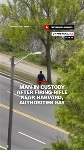 Man in custody after firing rifle near Harvard, authorities say