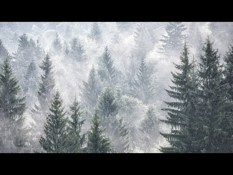 Beautiful Relaxing Music, Peaceful Piano Music, "Mountain Hideaway" by Tim Janis