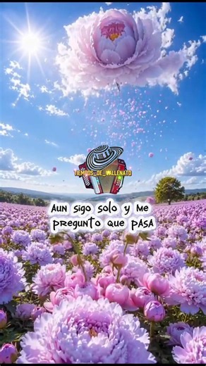 por estar adorándote - Jorge Celedón 🥃🪗 #tiemposdevallenato #vallenatosbonitosparasubiralestado #tiempos_de_vallenato #vallenatosromanticos