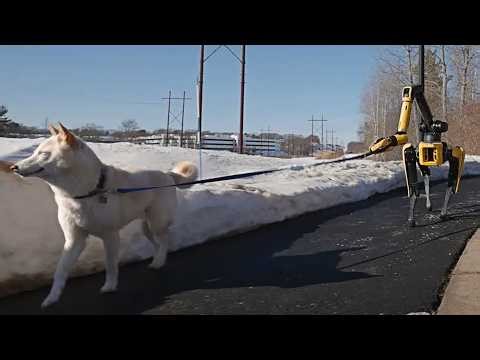 Spot the Robot Dog: Your New AI Home Assistant?