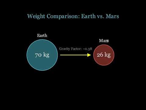 What Are Prime Numbers Really?