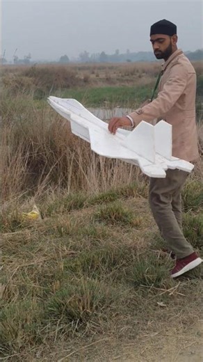 DIY RC F22 Plane 🔥Fly or Crash 😱