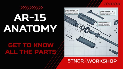 The Full Anatomy of an AR-15