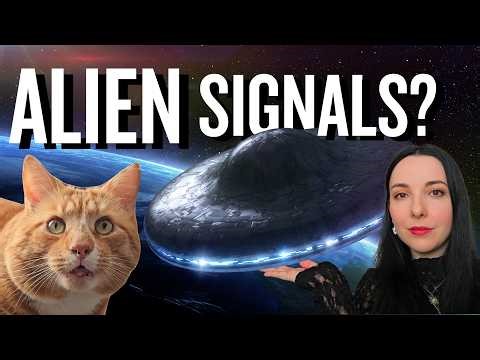 We Might Have Already Found Alien Life…