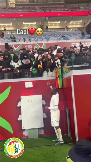 Respect for Capi – A Tribute