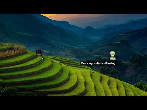 HEAVY DUTY PLOWING: REVOLUTIONARY LAND PROCESSING WITH MODERN JONDER - Agriculture Gardening