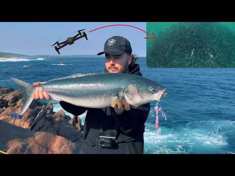 NON STOP ACTION!! Fishing a Steep Cliff for Australian Salmon (Droning Lures + Topwater Bust-ups)