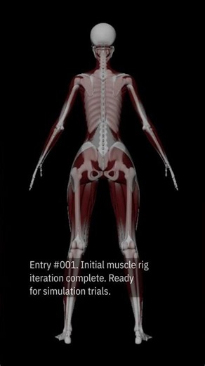 Entry #001. Building muscle rig in Houdini for very important purposes