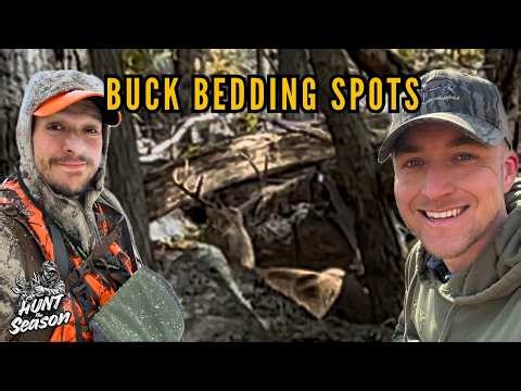 How to find BUCK bedding spots | Post Season scouting (Public land WHITETAILS)