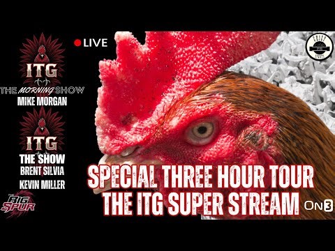 Gamecocks Live: Carolina Football Stories | Rallying Gamecock Nation