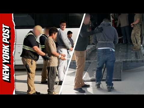 Over 10,000 Detained by ICE in Five Days as Deportation Crackdown Escalates