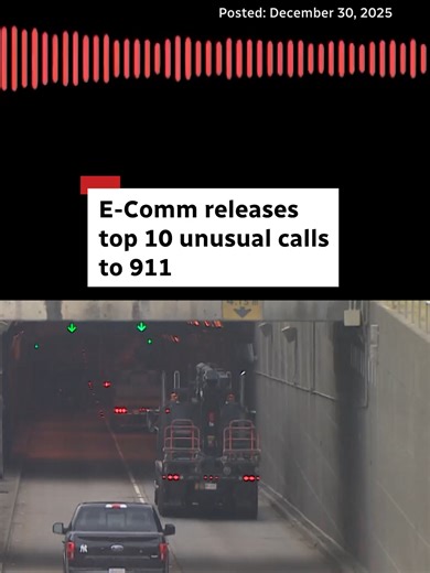 Top 10 Unusual 911 Calls from 2025: A Reminder