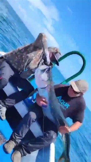 Tarpon fishing in Mexico | Big tarpon require a different plan!
