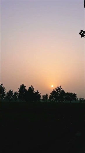 Nature’s Magical Sunset | Peaceful Sunset View | 4K Cinematic