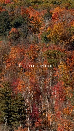 Fall Foliage in Connecticut: The Most Beautiful Place to Visit