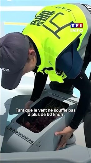 "Ça nous fait gagner du temps" : en Chine, quand les drones remplacent les livreurs｜TF1 INFO