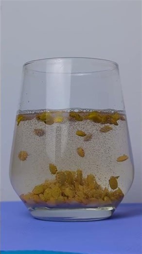 Cool Science Experiment for Kids 🥹🤩 Try it now 🤓