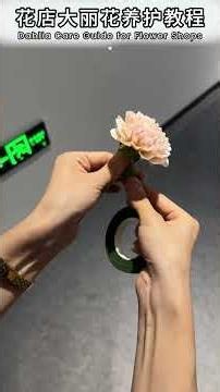 Unlock the Secret to Perfect Dahlia Arrangements