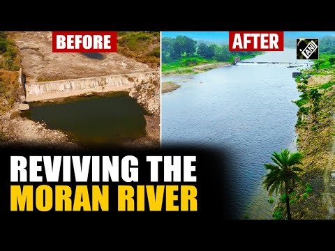 Rajasthan: Moran River revival transforms local landscape
