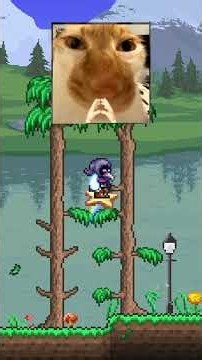 Stop wasting your TIME #terraria