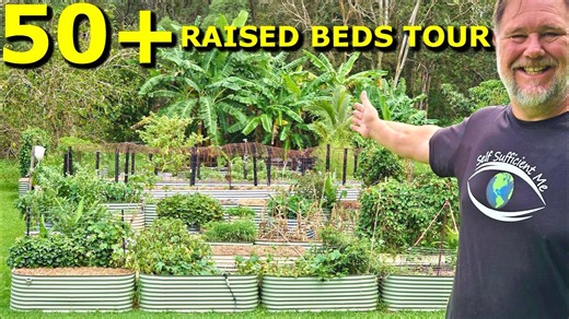Epic Home Garden Tour: Organic Tips, Experiments & Harvests in a Subtropical Paradise!