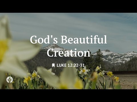 God's Beautiful Creation | Audio Reading | Our Daily Bread Devotional | January 4, 2026