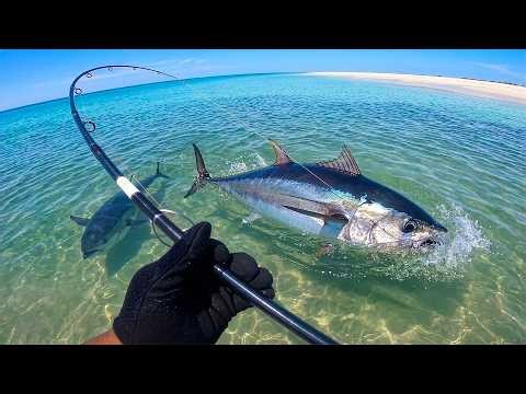 Giant Tuna from the SAND! (Catch & Cook)