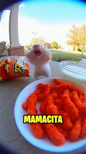 THOSE CHEETOS ARE SPICY #parody