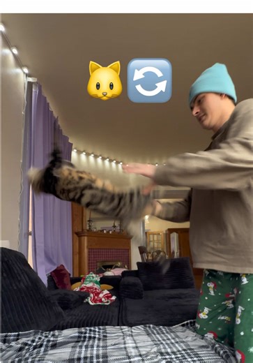 Day 3! Everyday they are getting better and better at flipping 😂 #cats #pov #flipping #catflip