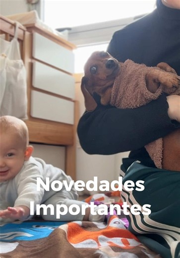 Free Hugo! Dachshund Mom Life & Parenthood Moments
