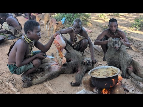 African Hadzabe tribe culture | Hunting with precision |The Hadzabe way of life is rooted in nature 