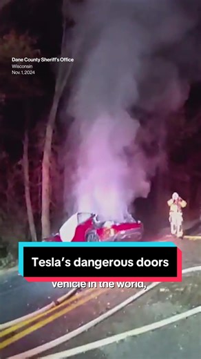 Tesla's Electric Doors Under Scrutiny for Safety Issues