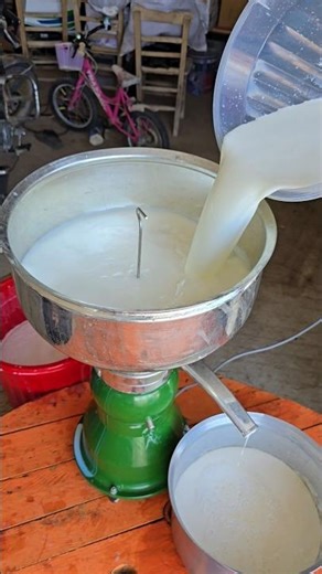 milk fat extraction machine #shorts #cow #farm