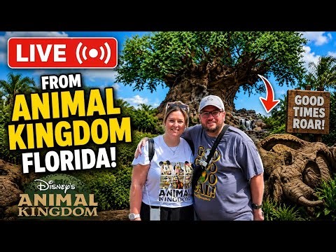 🔴 LIVE From Disney’s Animal Kingdom! | Tree of Life, Rides & Florida Fun