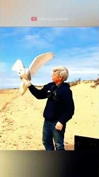 He rescued a tiny mysterious bird #animals #Funny #funnyanimals #love #cute #pets #rescue