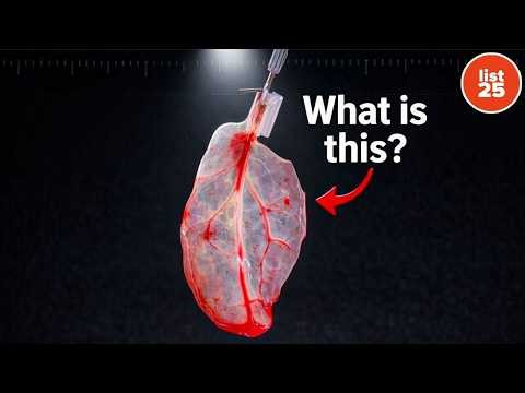 25 Facts That You Won’t Find in a Textbook