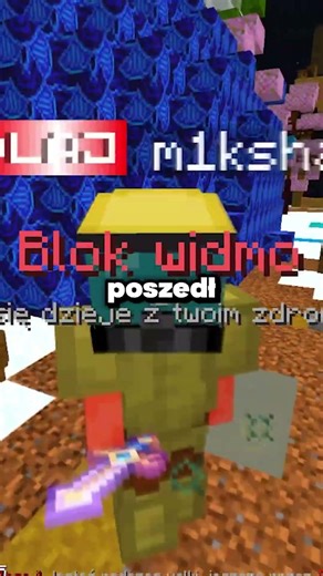 IP BLOCKLY.PL 😍😋 #minecrafttiktok #minecraft #server #mc #dlaciebie #fyp
