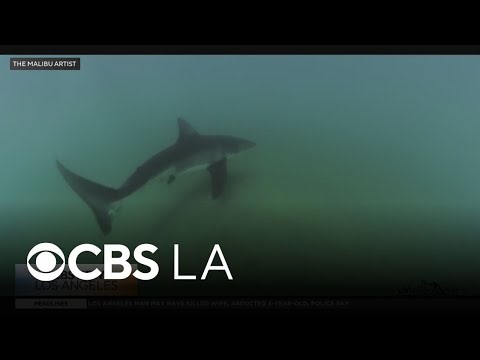 Video shows the moment a shark bites, as SoCal photograhper shares his rare and unexpected footage