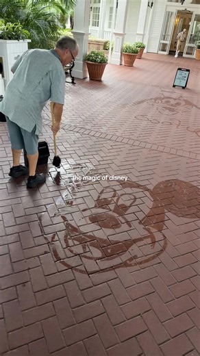Disney magic moments at Walt Disney World