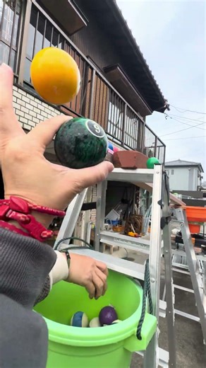 Marble Run Race ☆ Original course in spring colors⑤