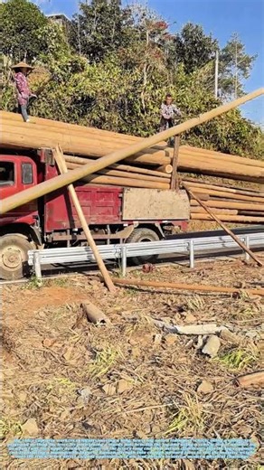 Lifting with Leverage: The Physics Behind Moving Massive Logs