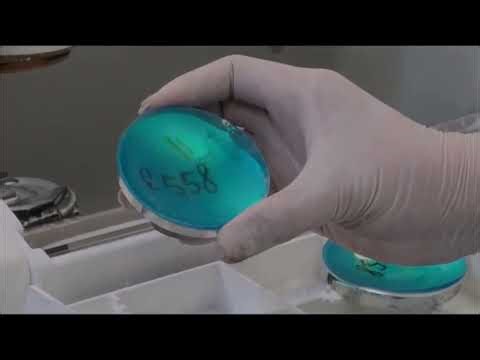 #how lenses are made