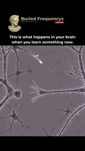 How Do Brain Cells Form New Connections? 🧠