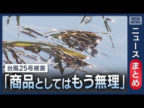【台風25号】堤防決壊の印旛沼 国交省が25日から緊急復旧に着手へ/「激甚災害」指定へ 防災庁は11月2日設置/など【ニュースまとめ】 (2026年9月24日～25日) ANN/テレ朝 LIVE