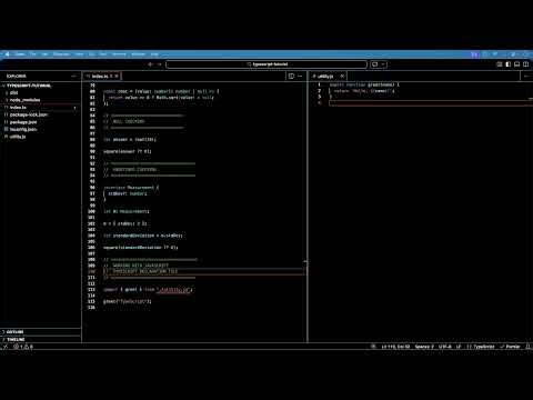 S07 L06 TypeScript with JavaScript Code (Declaration Files)