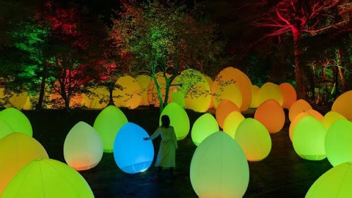 Immerse yourself in TeamLab Yoro Valley’s outdoor nighttime art exhibition in Chiba’s wilderness
