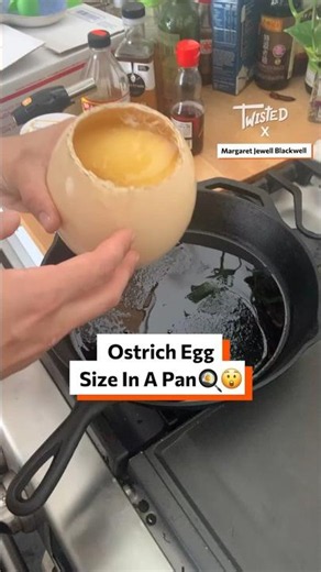 Ostrich Egg Size In A Pan 🍳😲 #OstrichEgg #Breakfast #Eggs