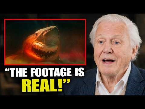 David Attenborough Broke Silence After Mariana Trench ROV Captured 50-ft Megalodon Like Shark Below!